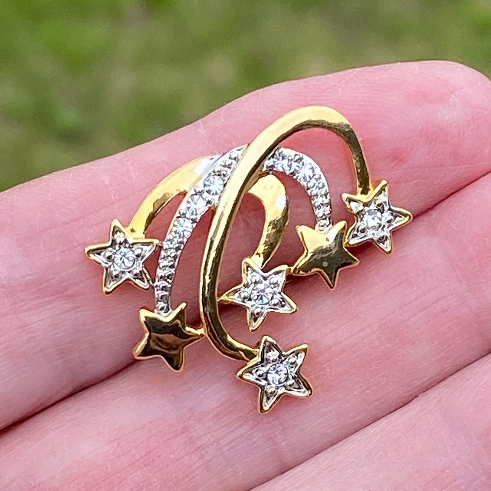 Elegant Gold and Silver Nature-Inspired Brooch
